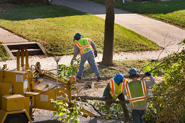 Best Professional Tree Care  in Ladonia, AL